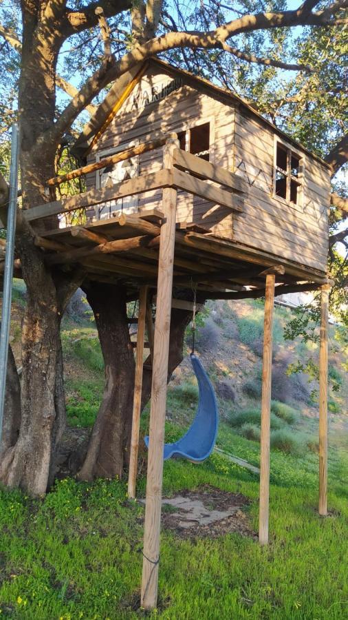 The African House Tolox Ngoại thất bức ảnh